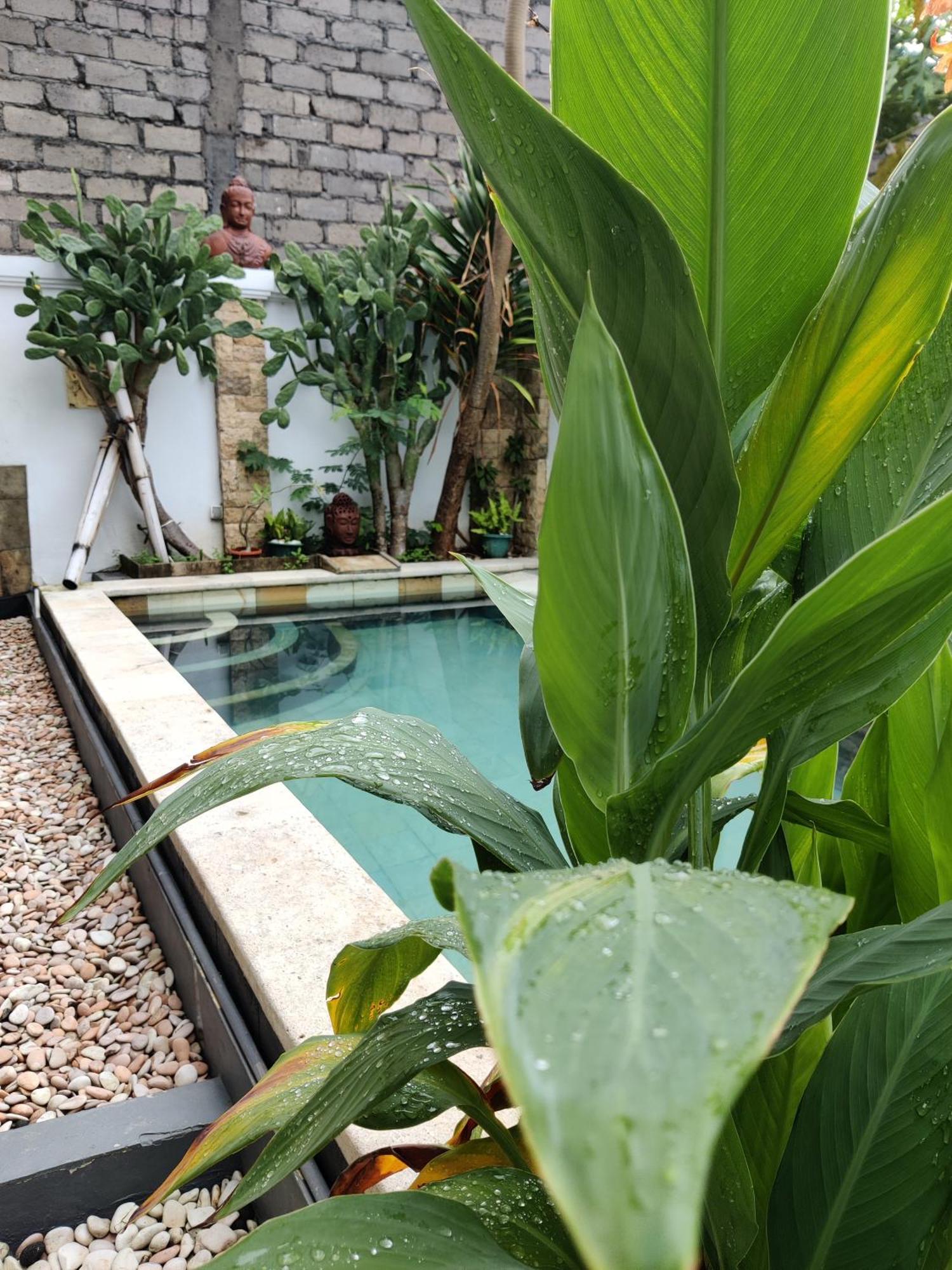 Hills House Villa By Globalstay - Jimbaran X Balangan X Gwk Buitenkant foto